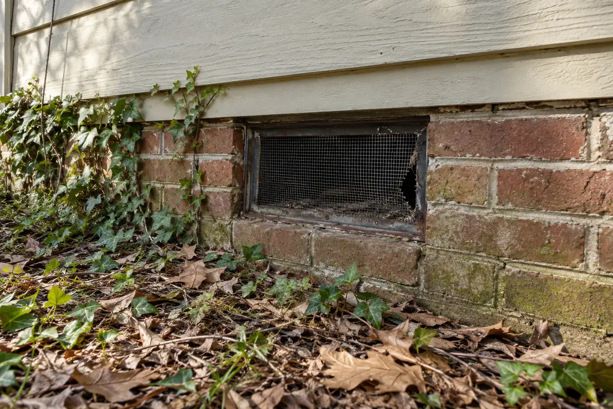 Foundation vent with a worn screen on a brick wall among fallen leaves, rodent control in Allen, TX